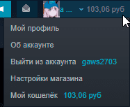 Как пополнить баланс Steam (Стим) из России рублями, не смотря на санкции в 2024 году
